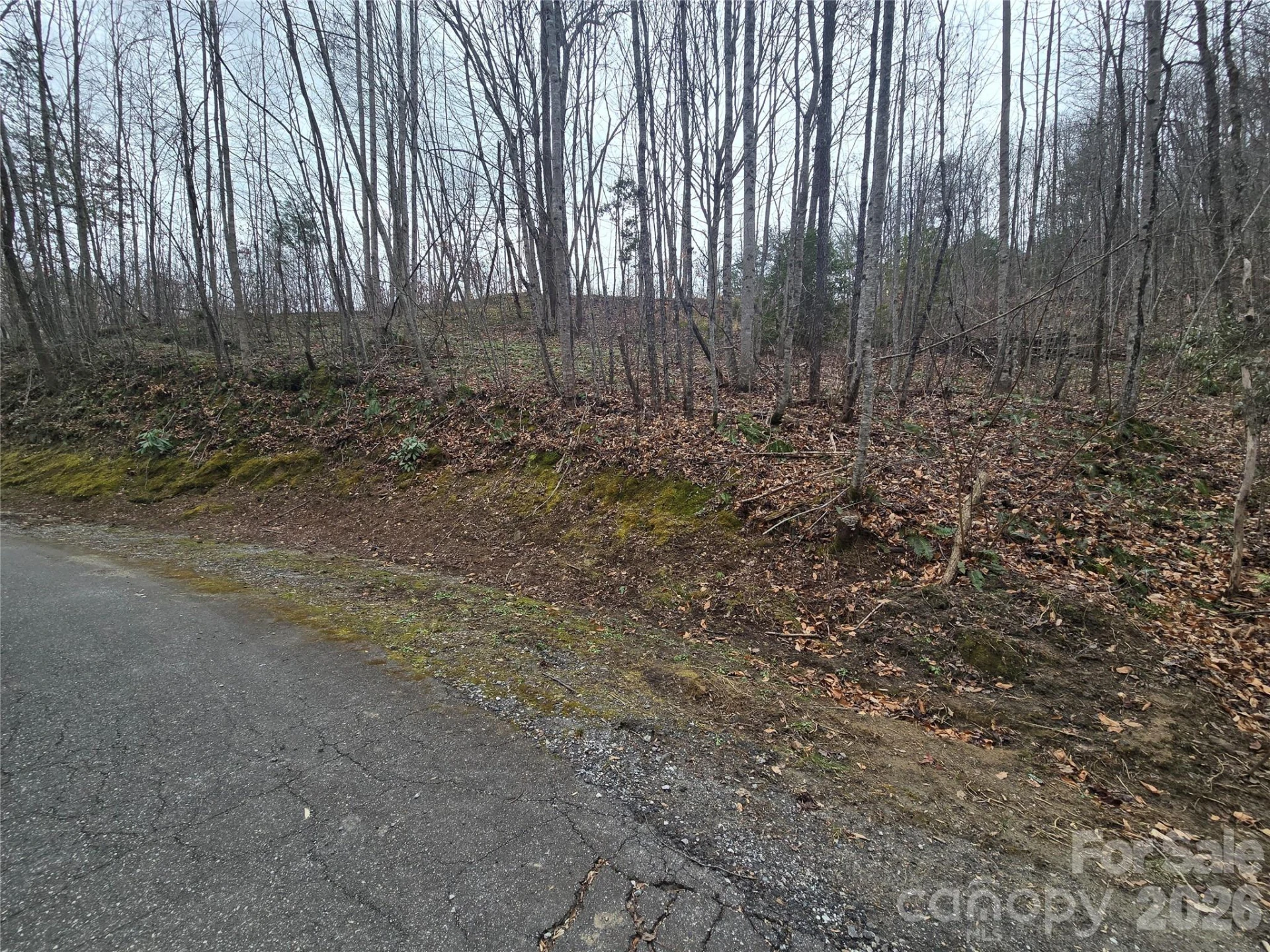 138 Fairlane Loop #19 - Photo 15