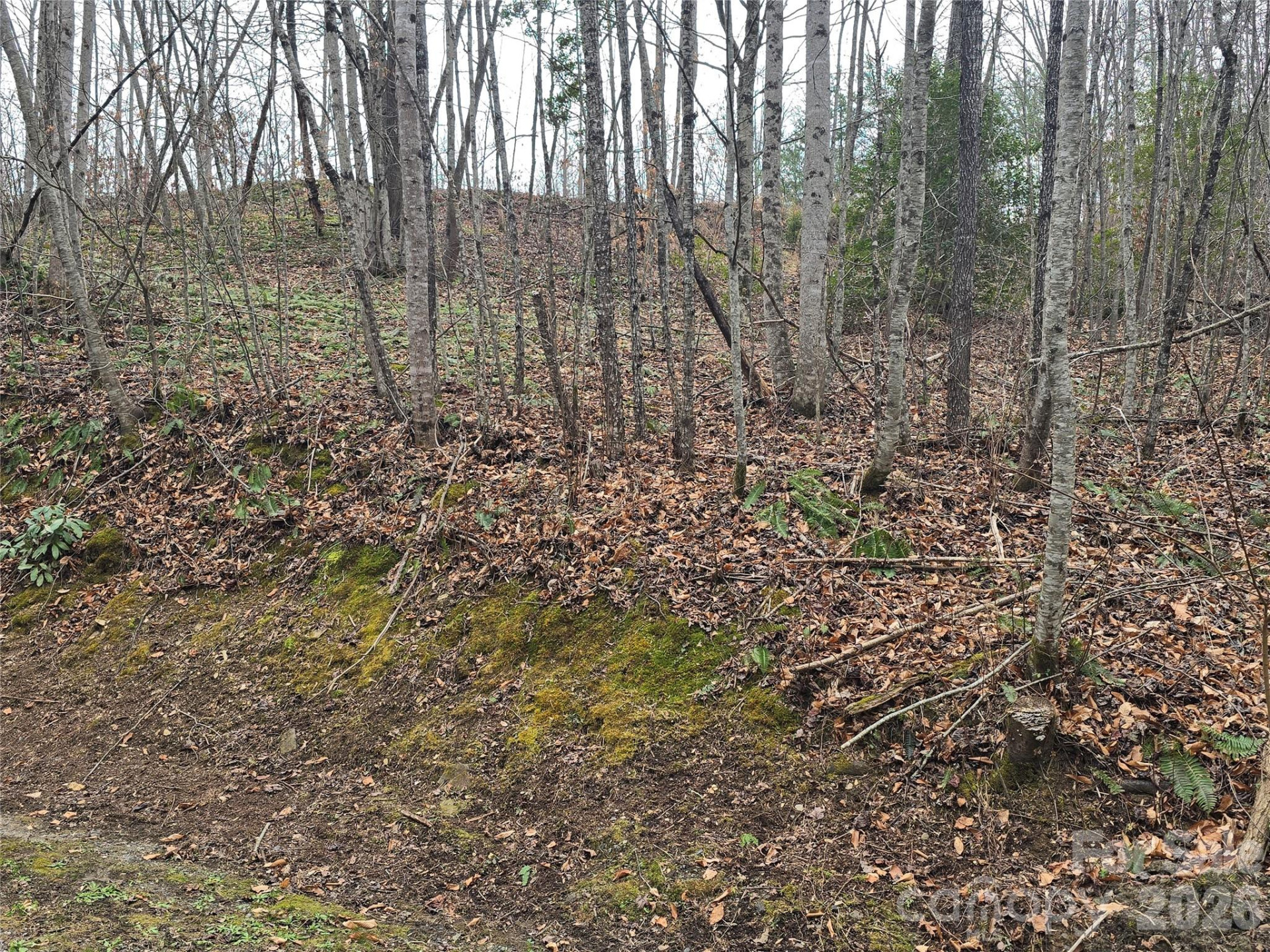 138 Fairlane Loop #19 - Photo 16