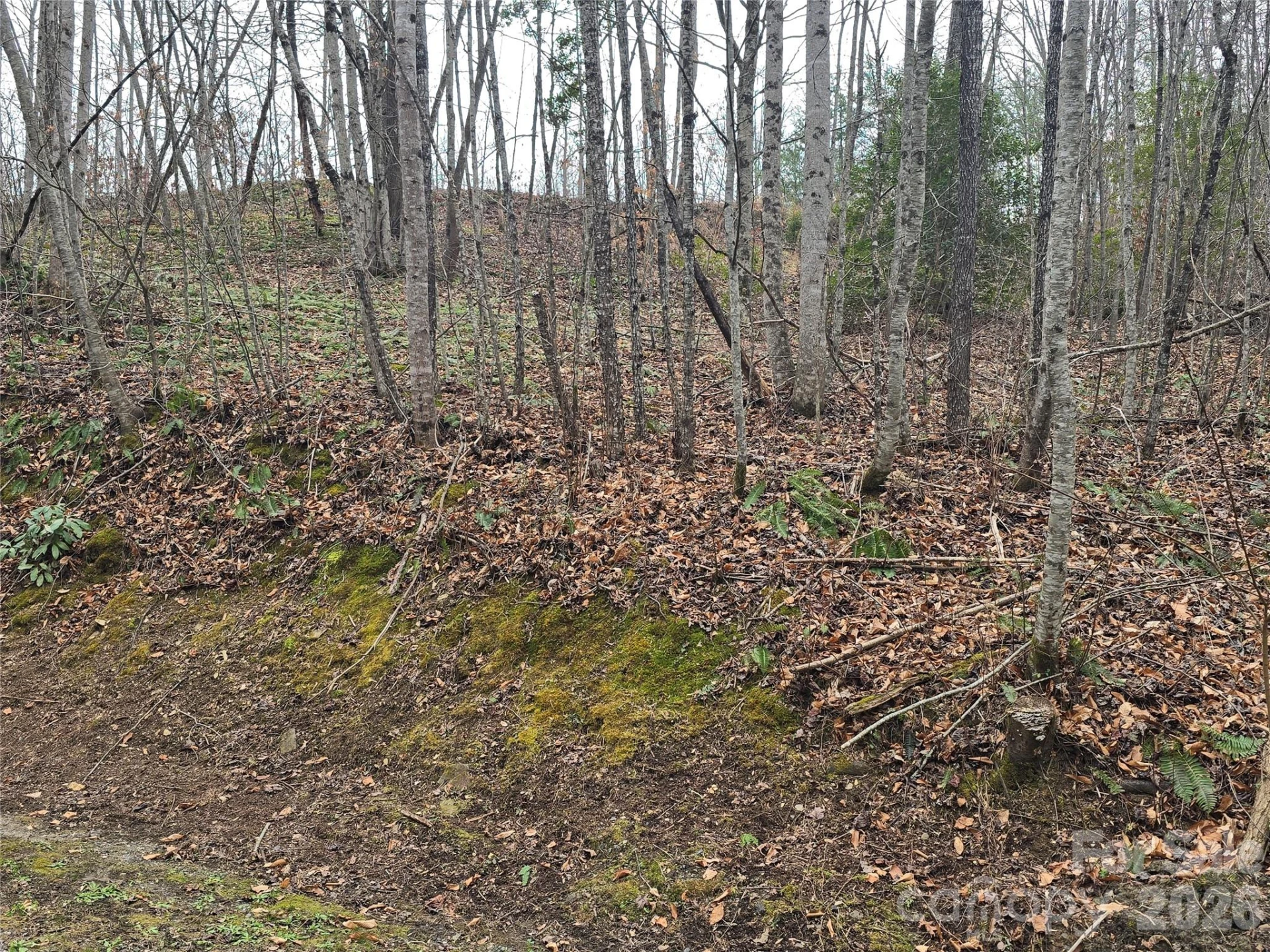 138 Fairlane Loop #19 - Photo 16