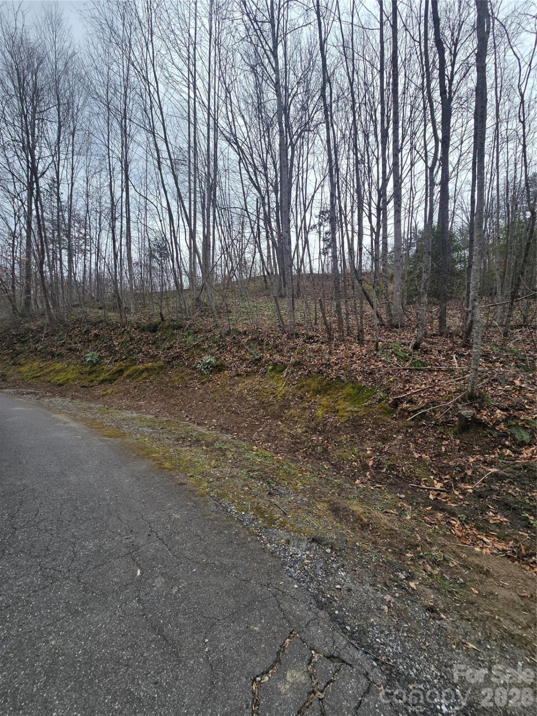 138 Fairlane Loop #19 - Photo 17