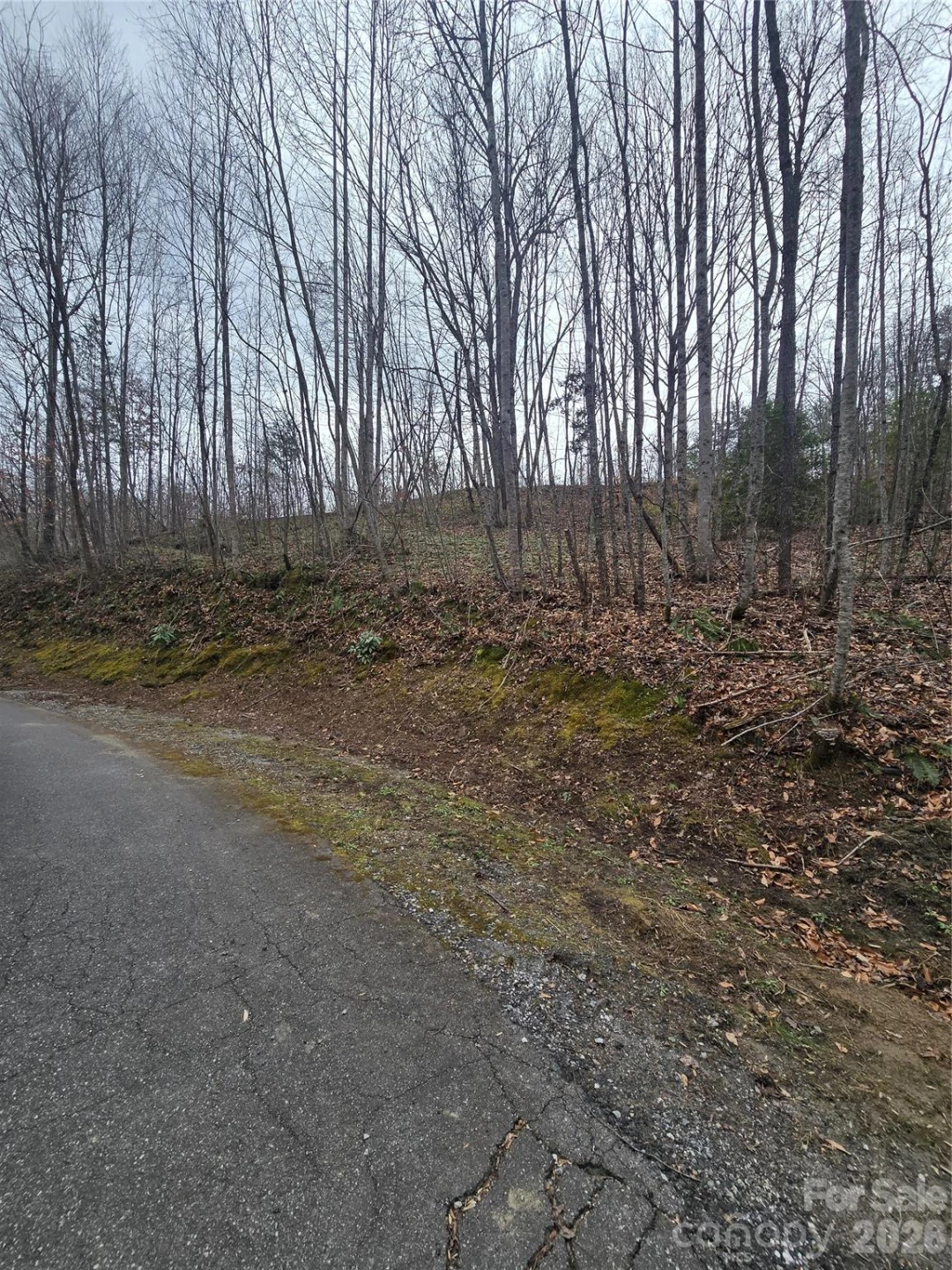 138 Fairlane Loop #19 - Photo 17