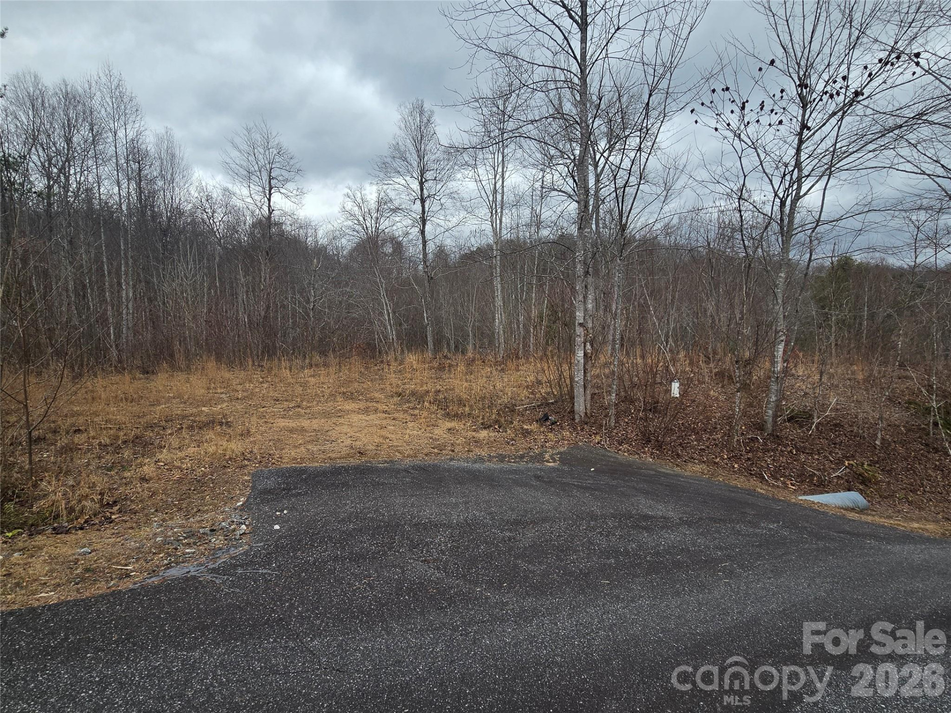 138 Fairlane Loop #19 - Photo 18