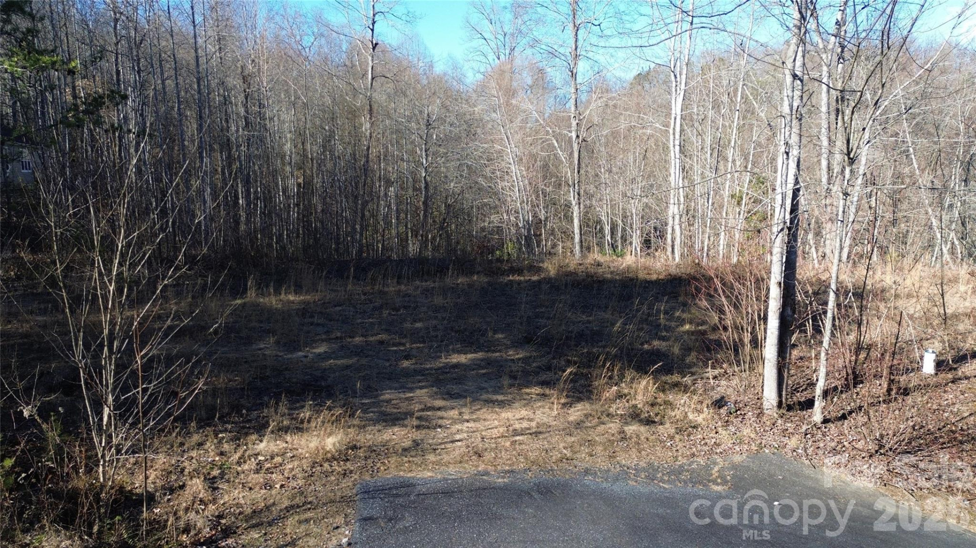 138 Fairlane Loop #19 - Photo 3