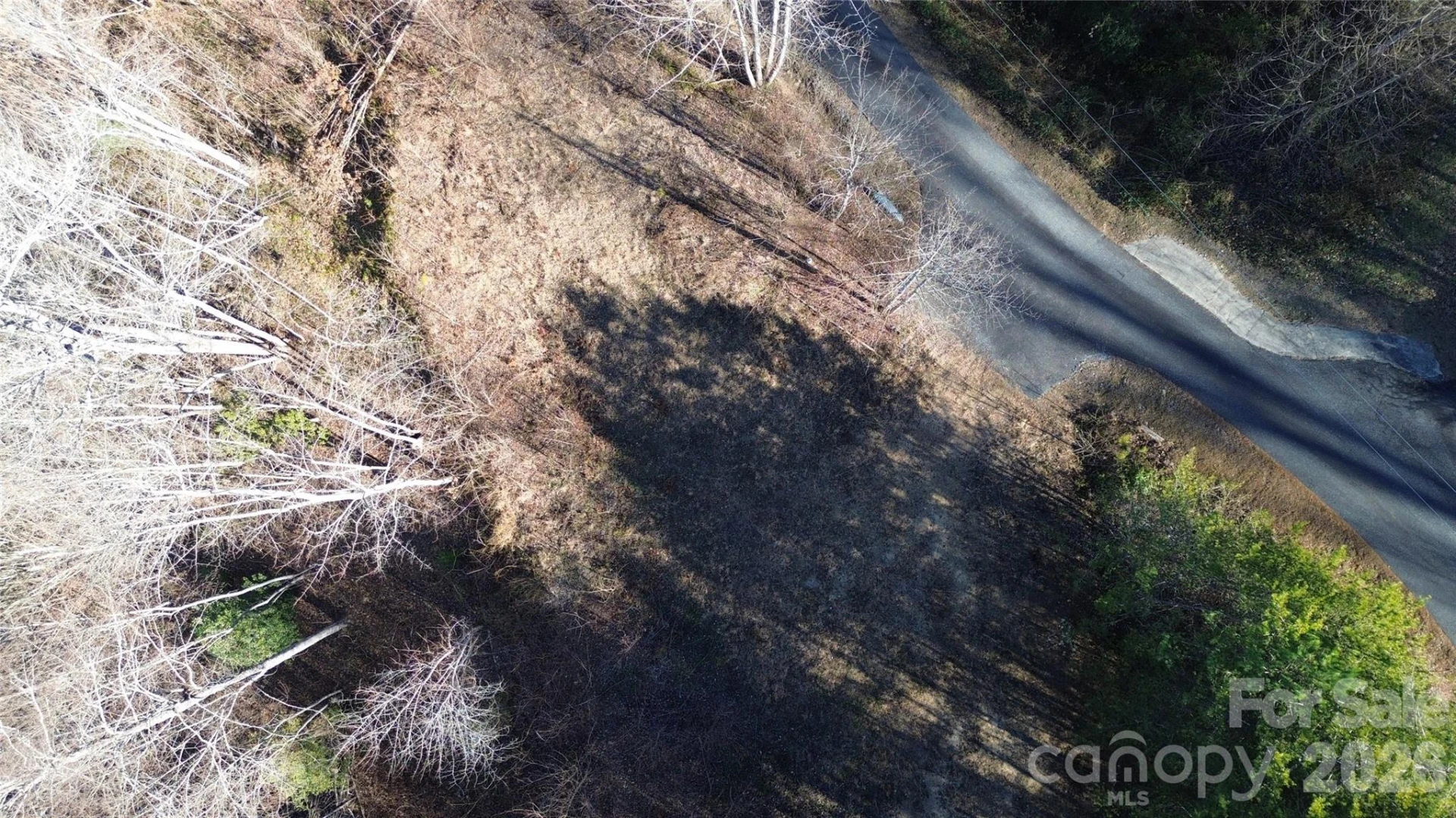 138 Fairlane Loop #19 - Photo 4