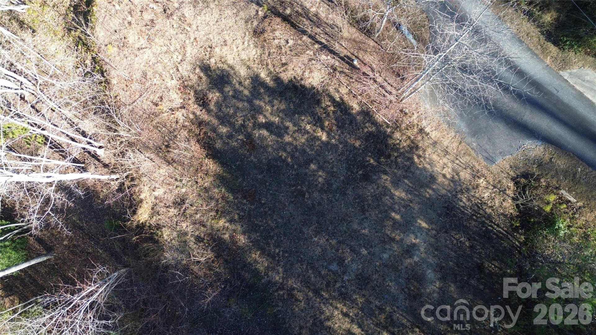 138 Fairlane Loop #19 - Photo 5