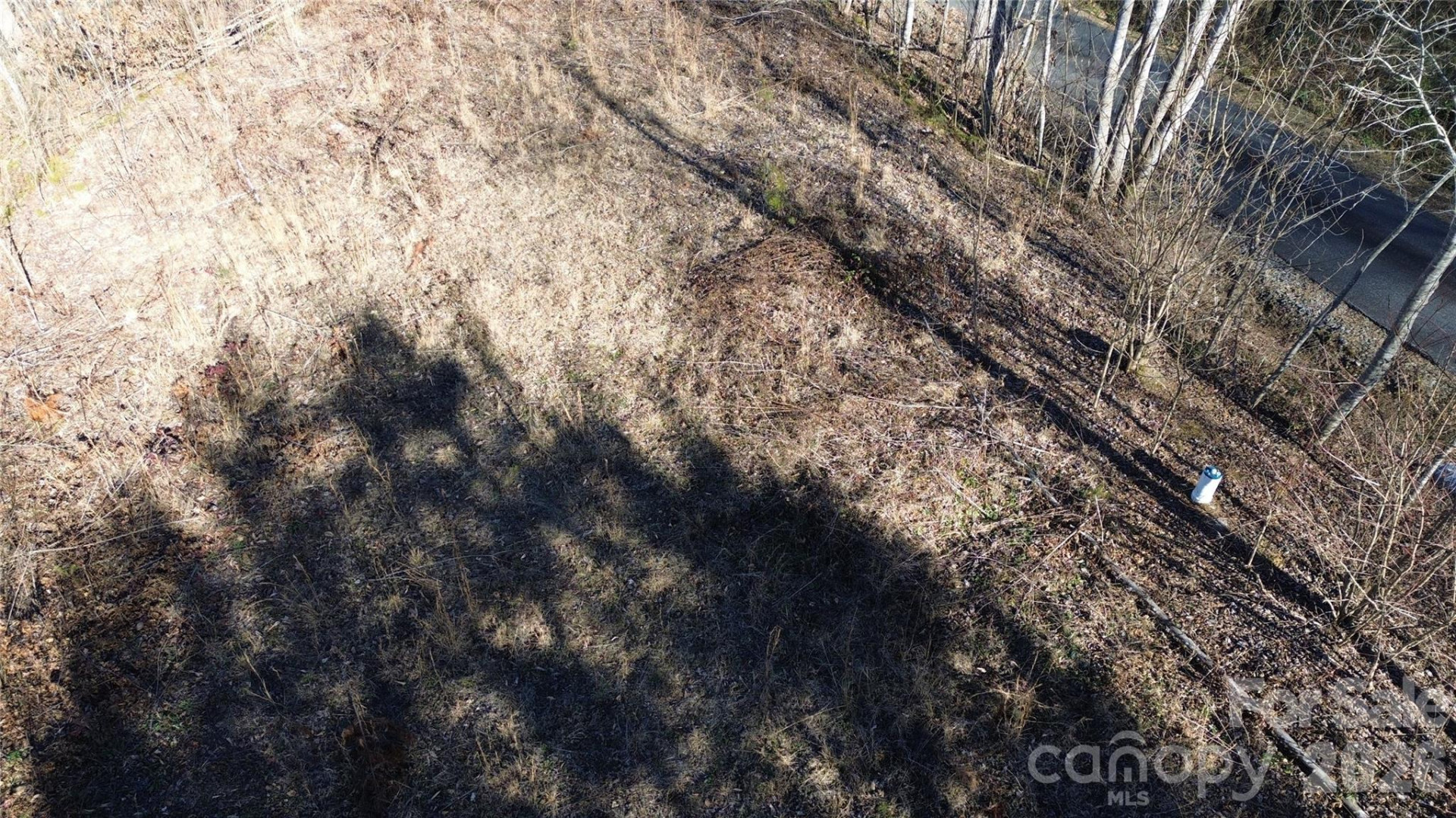 138 Fairlane Loop #19 - Photo 6