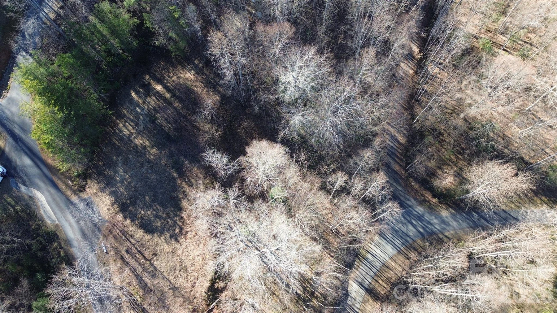 138 Fairlane Loop #19 - Photo 8