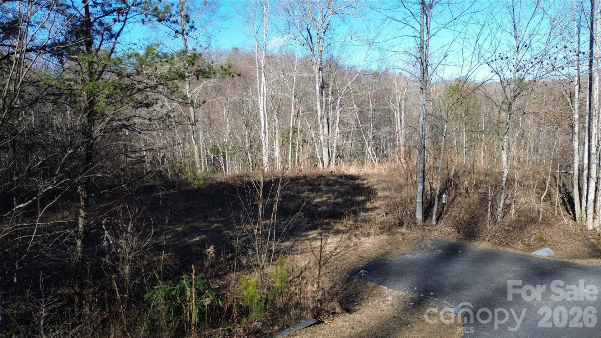 138 Fairlane Loop #19 - Photo 9
