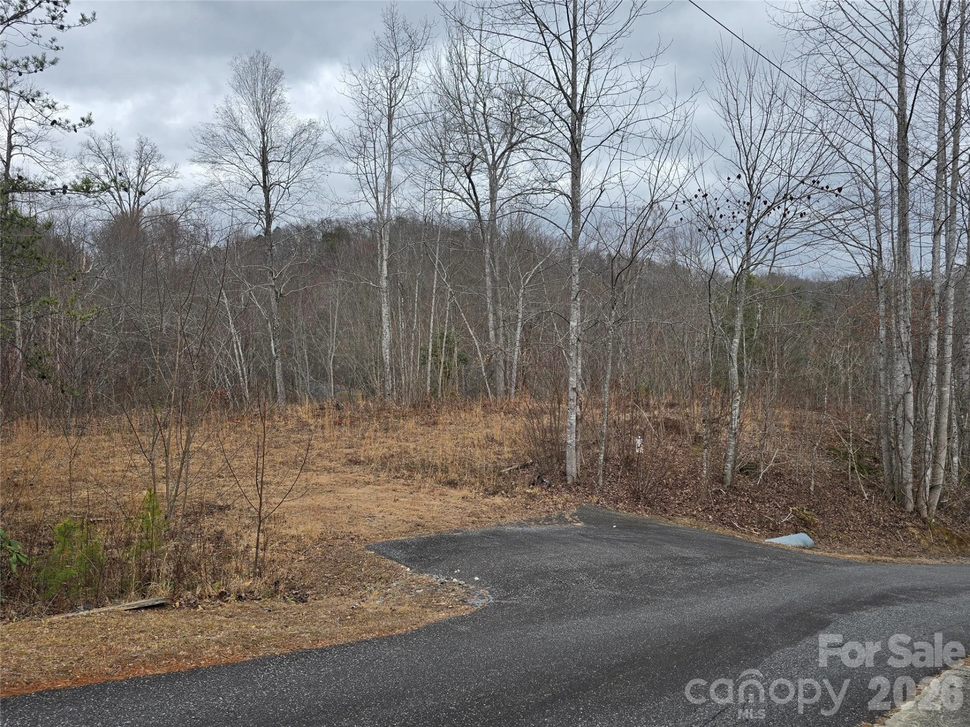 138 Fairlane Loop #19 - Photo 10