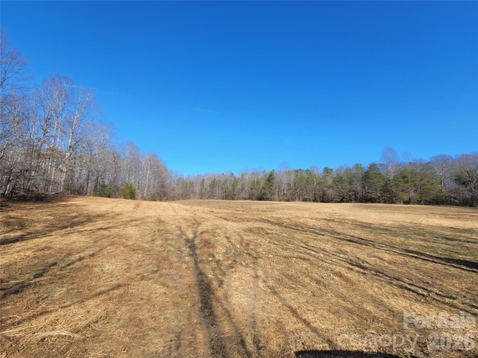 0 Bill Collins Road - Photo 11