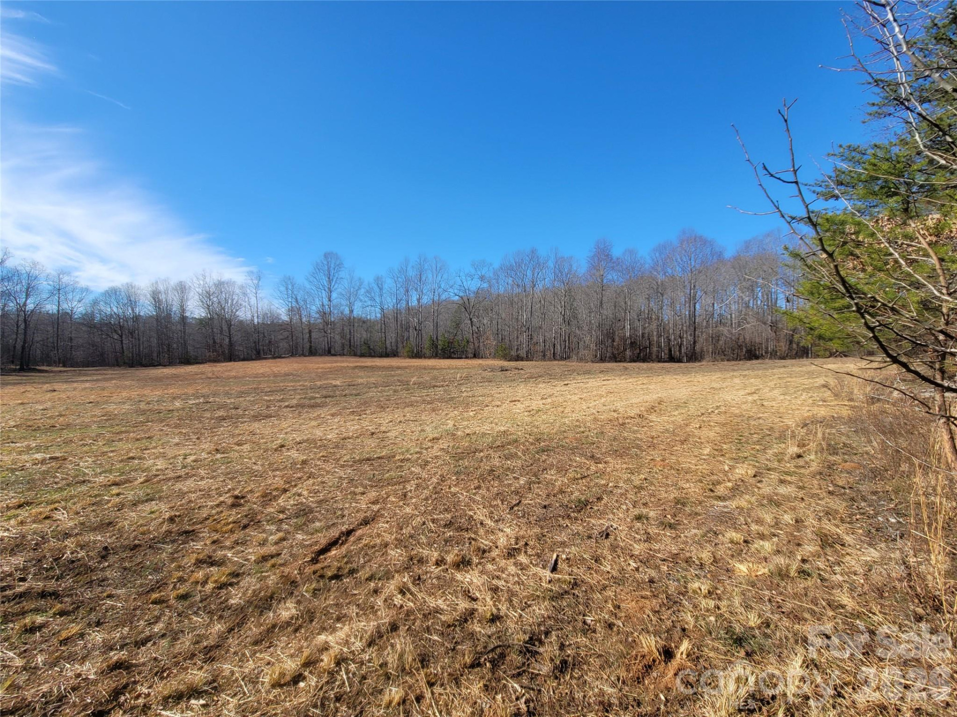 0 Bill Collins Road - Photo 14