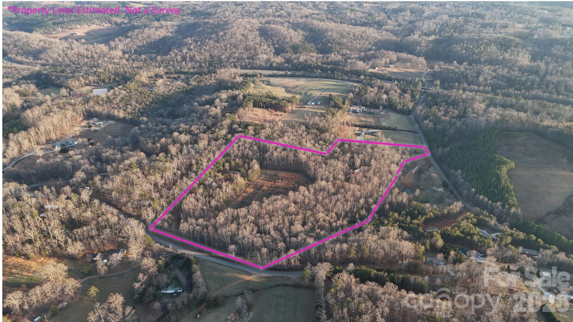 0 Bill Collins Road - Photo 3