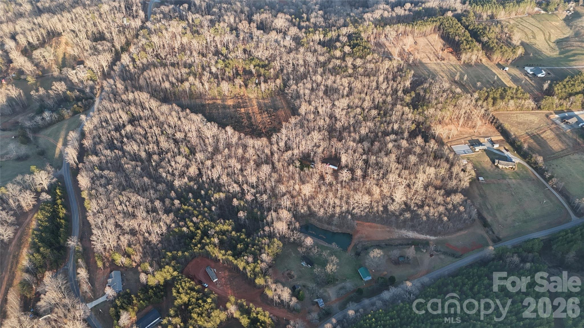 0 Bill Collins Road - Photo 4