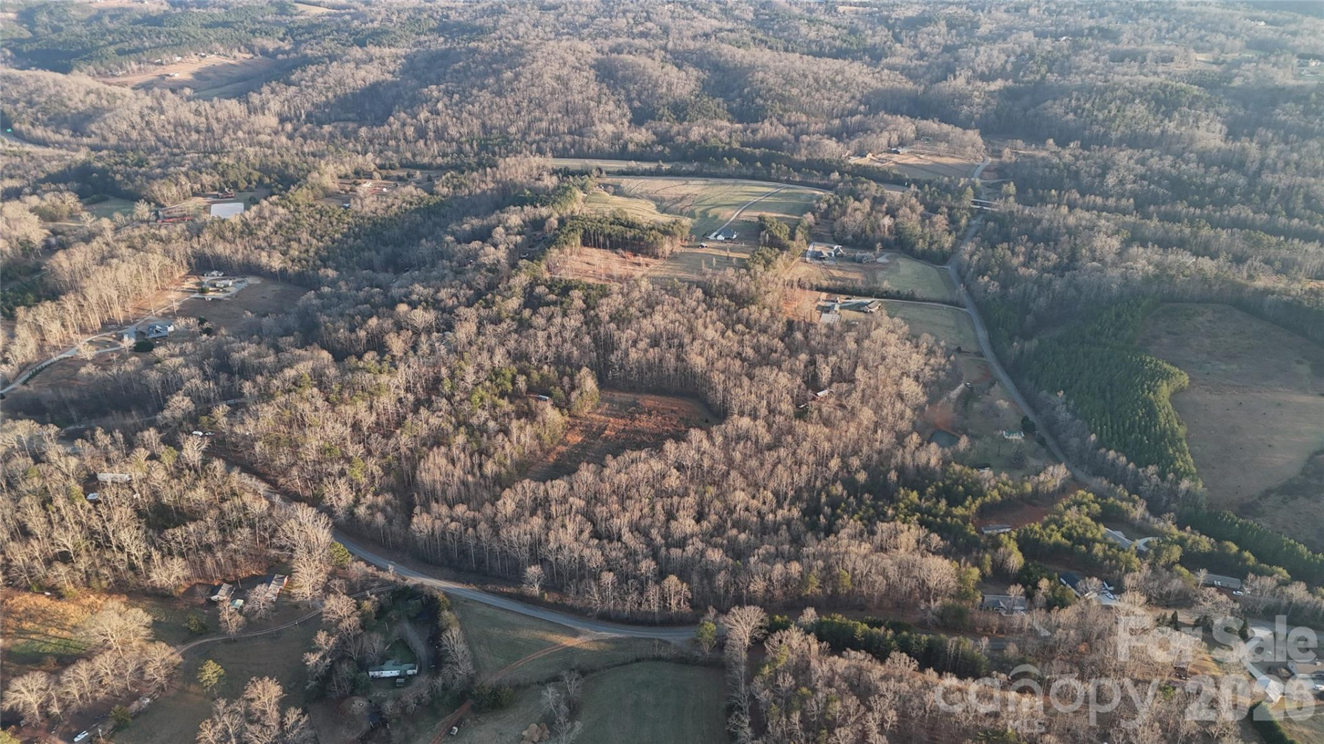 0 Bill Collins Road - Photo 5