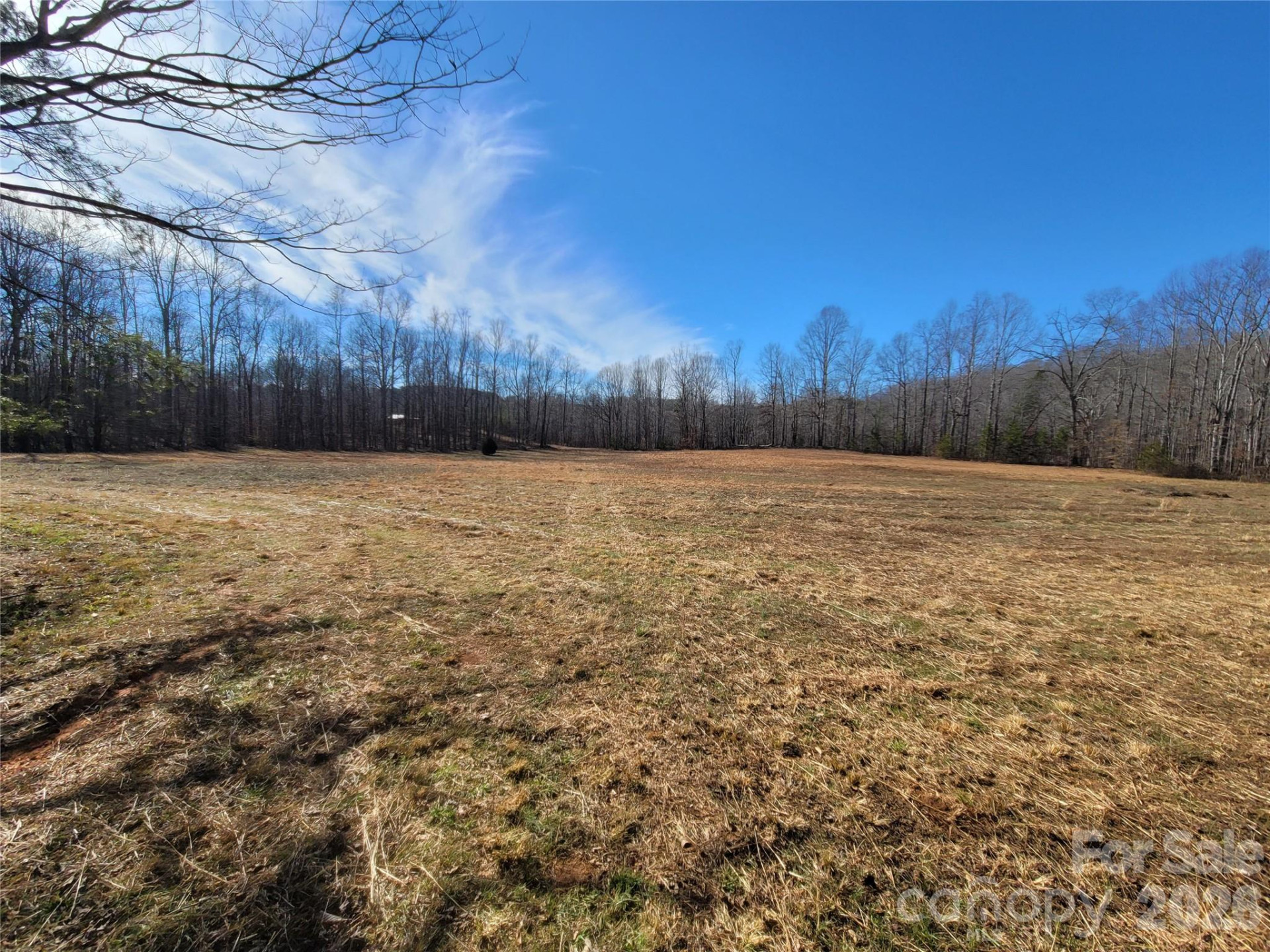 0 Bill Collins Road - Photo 10