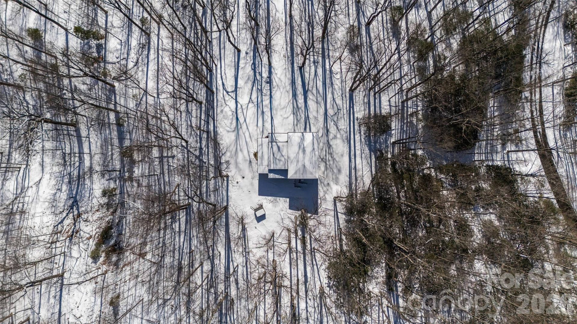 584 Springbrook Lane - Photo 46