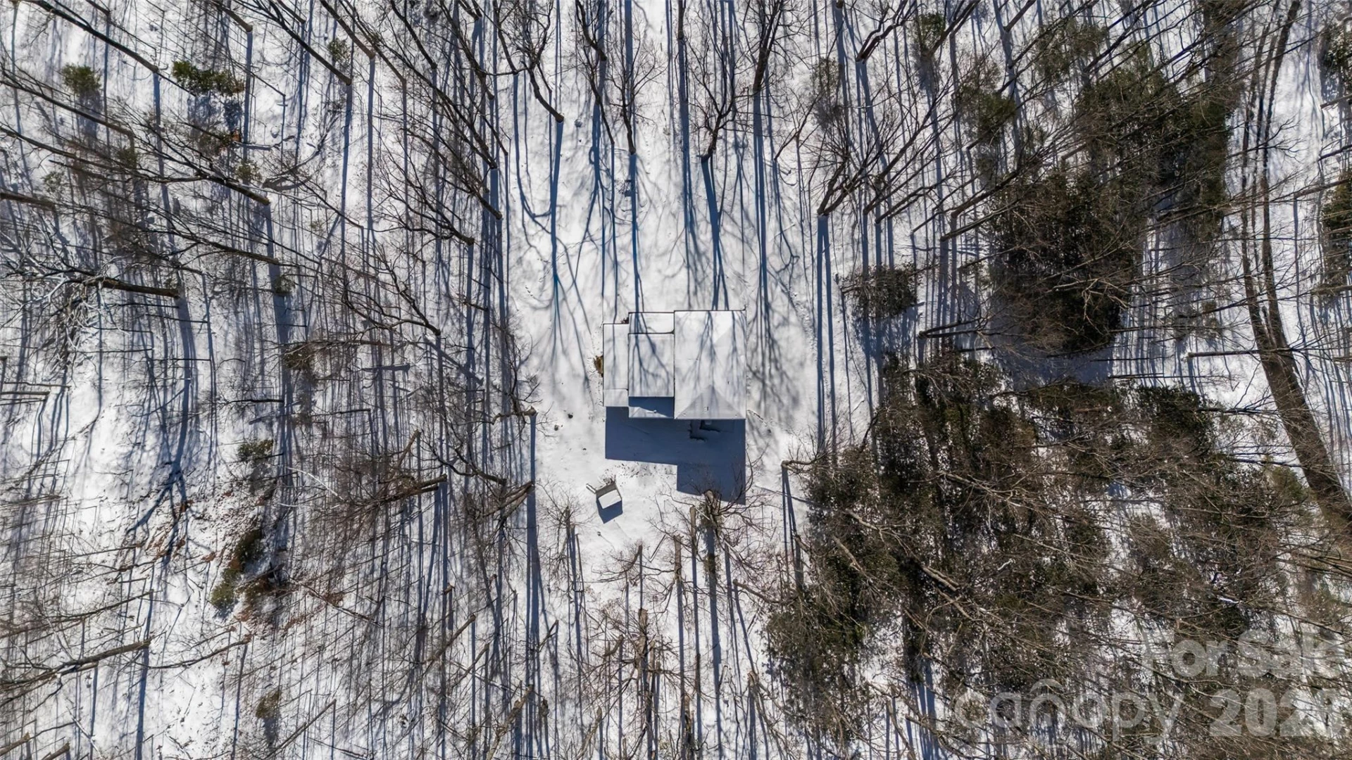 584 Springbrook Lane - Photo 46
