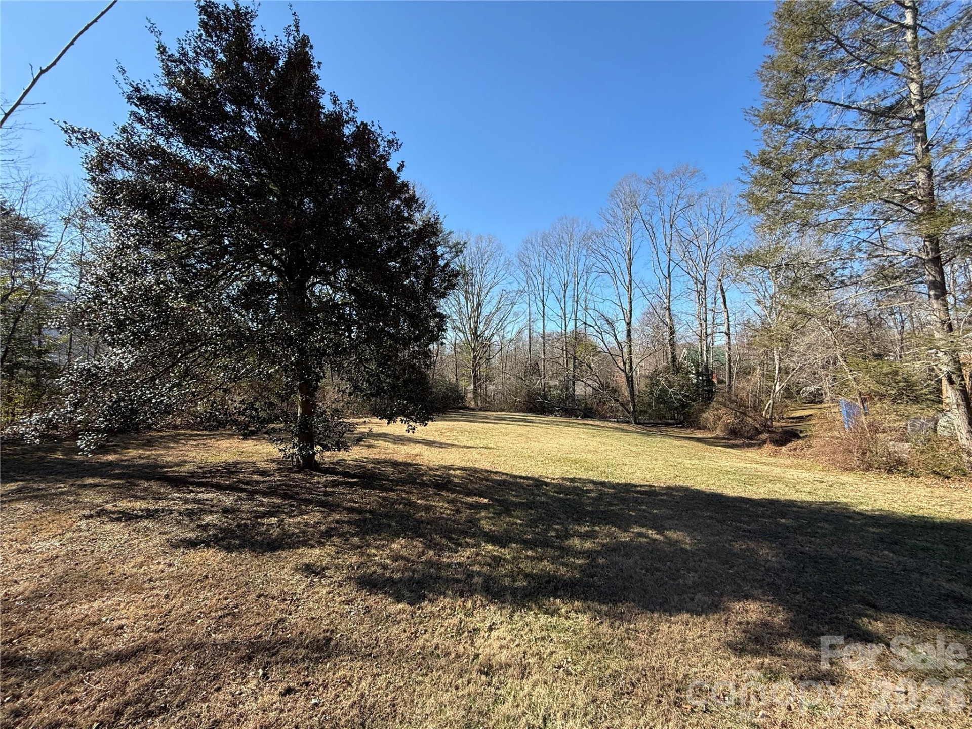 109 College Street - Photo 12