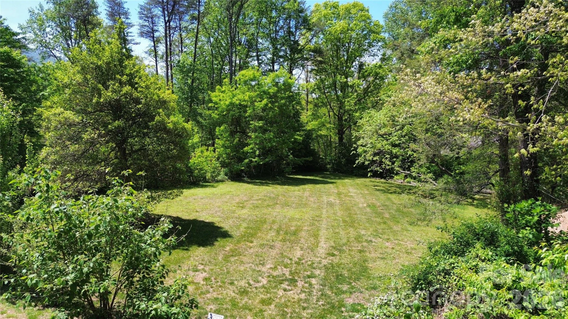 109 College Street - Photo 5