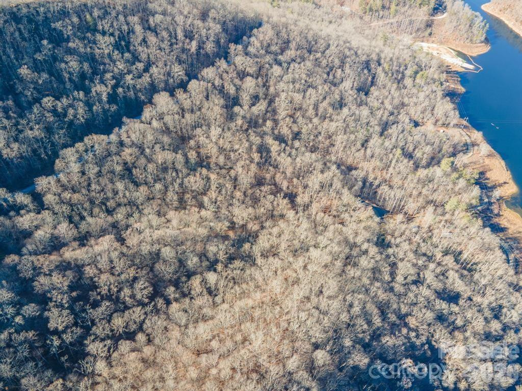 1211 Lake Forest Drive #48 - Photo 3