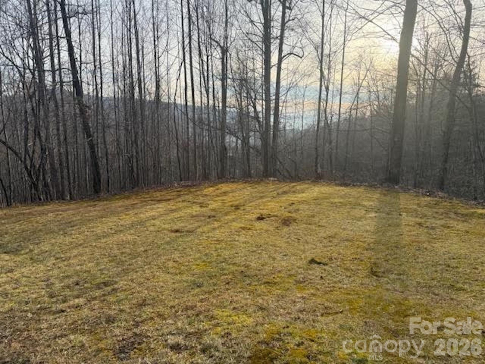 TBD Soapstone Creek Drive #14 - Photo 2