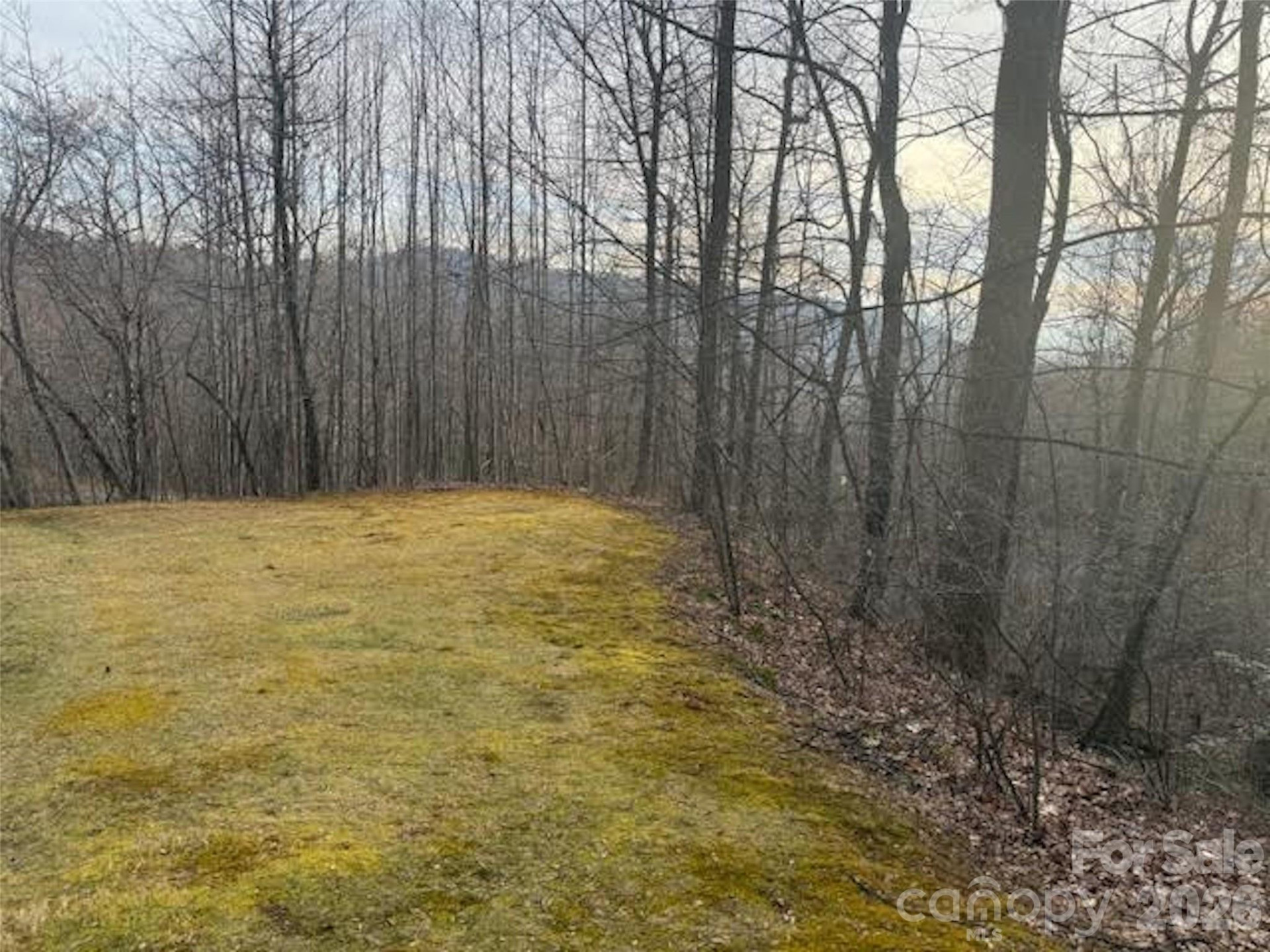 TBD Soapstone Creek Drive #14 - Photo 3