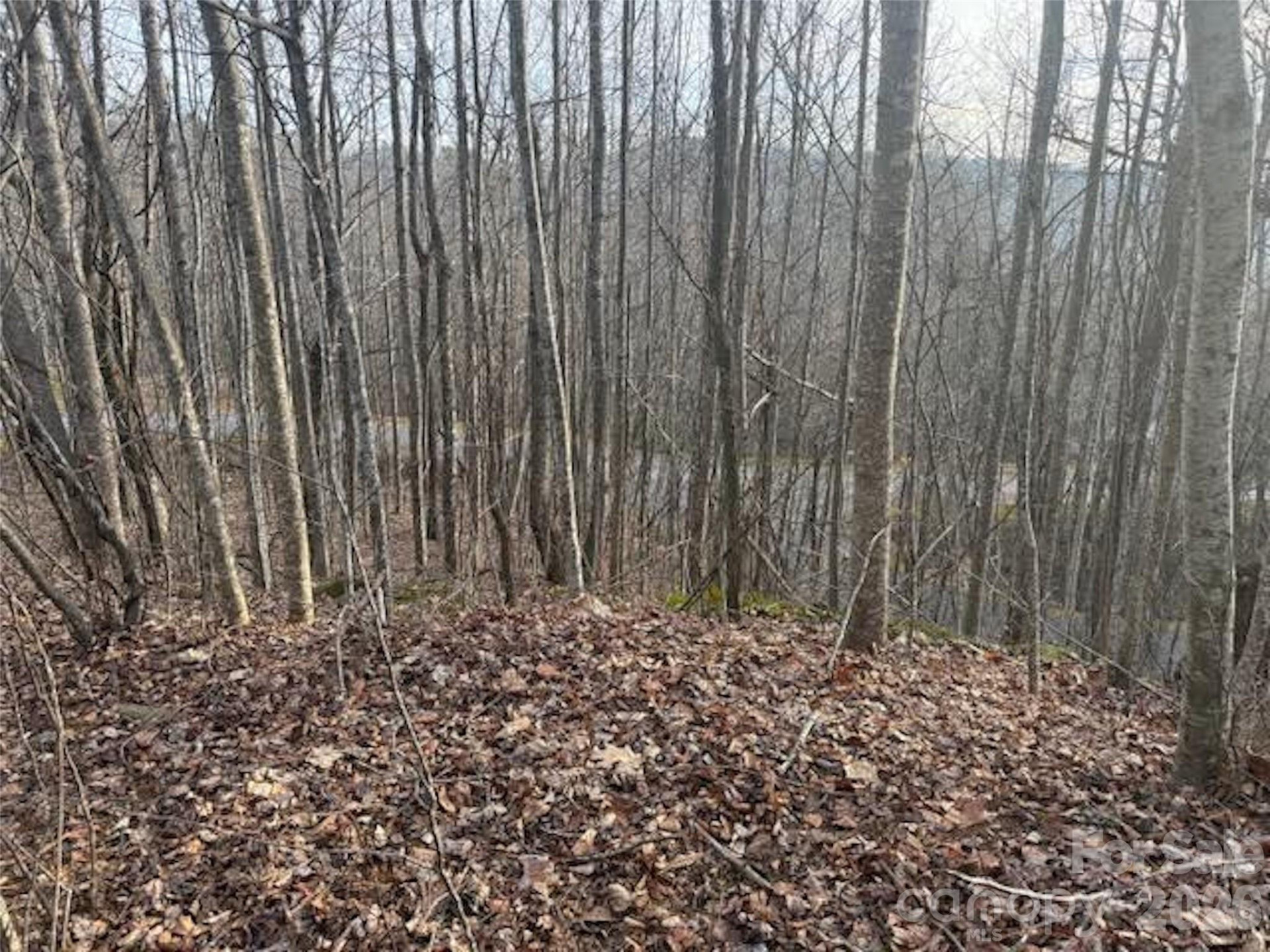 TBD Soapstone Creek Drive #14 - Photo 4