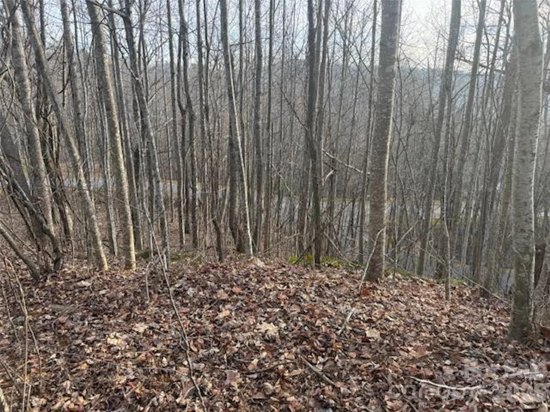 TBD Soapstone Creek Drive #14 - Photo 4