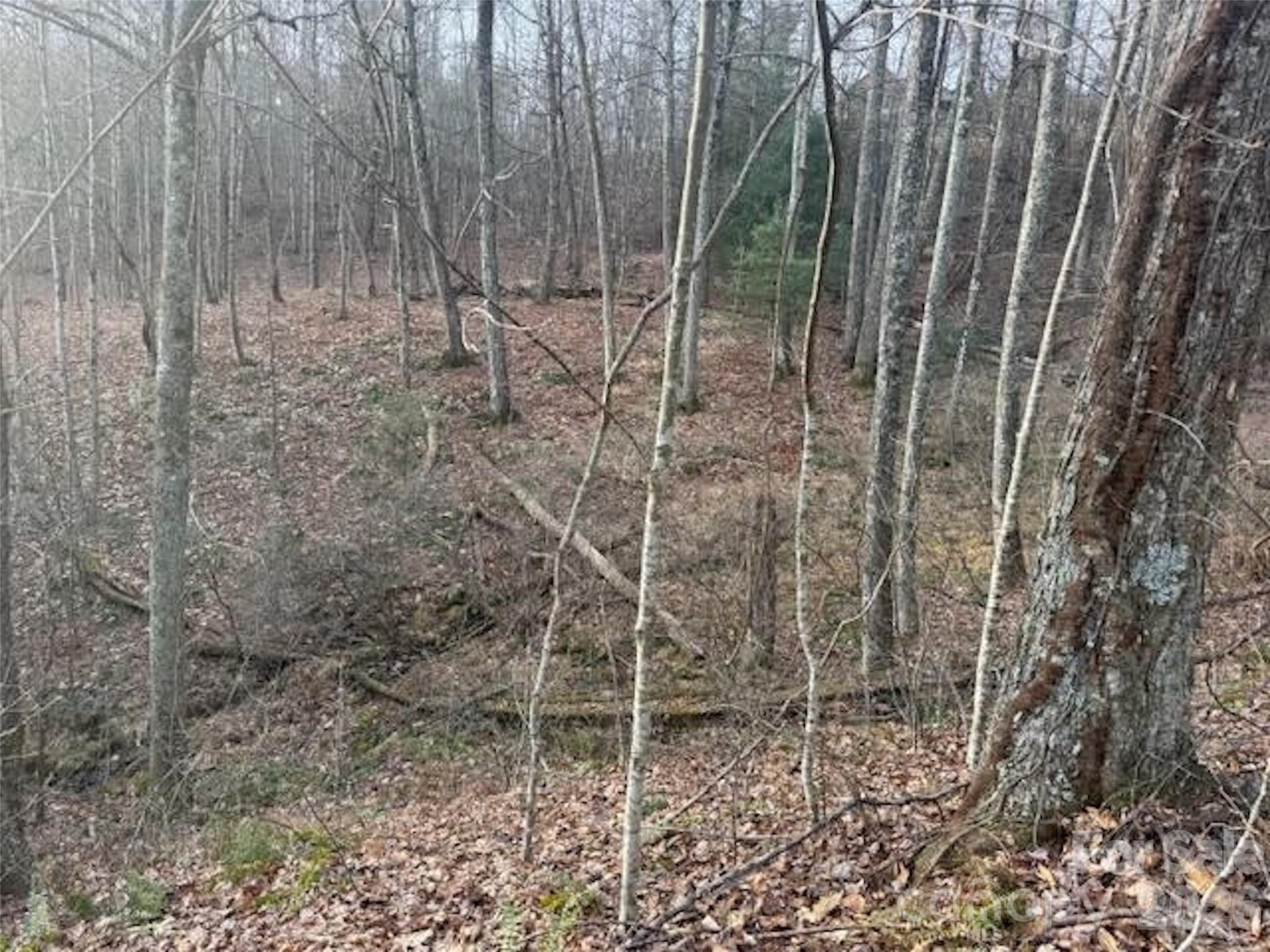 TBD Soapstone Creek Drive #14 - Photo 5