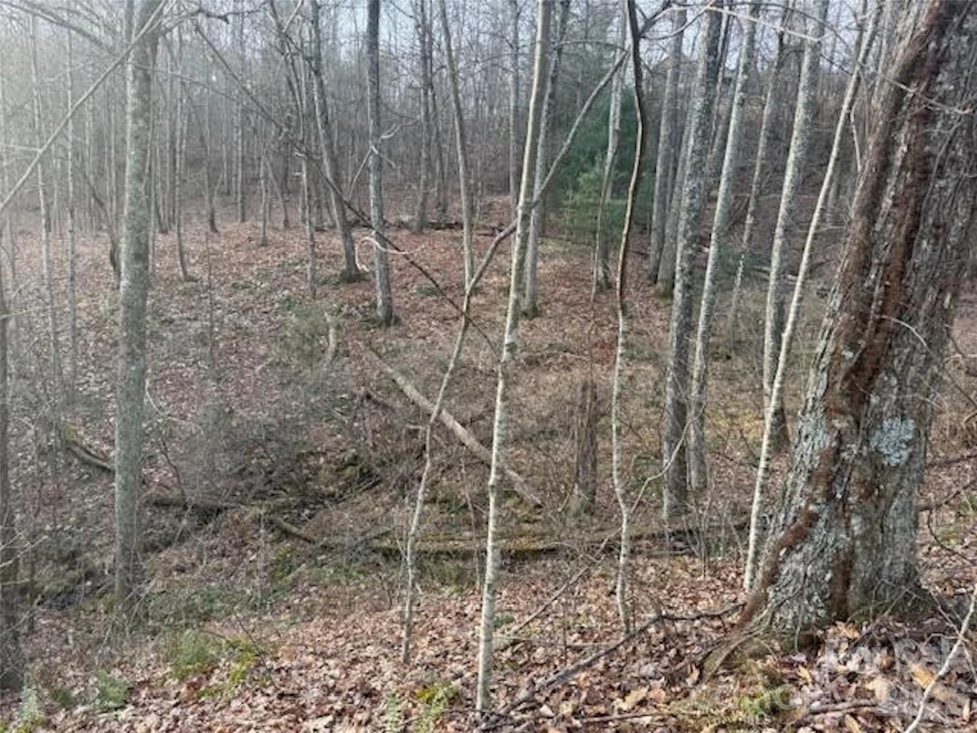 TBD Soapstone Creek Drive #14 - Photo 5