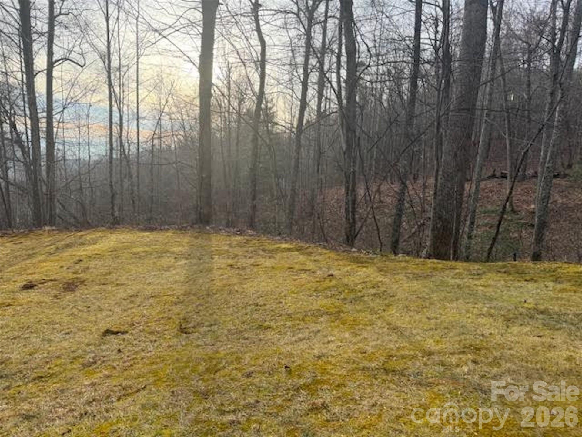 TBD Soapstone Creek Drive #14 - Photo 6