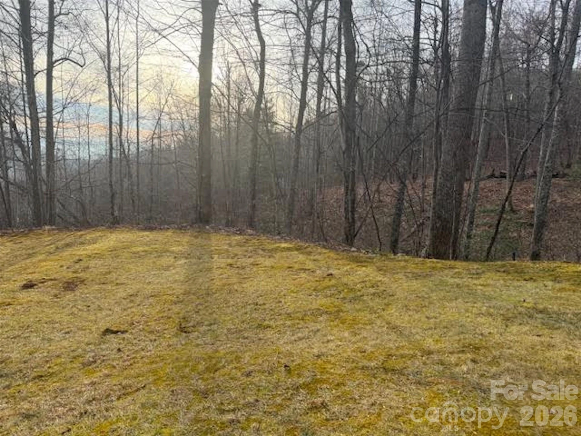 TBD Soapstone Creek Drive #14 - Photo 6