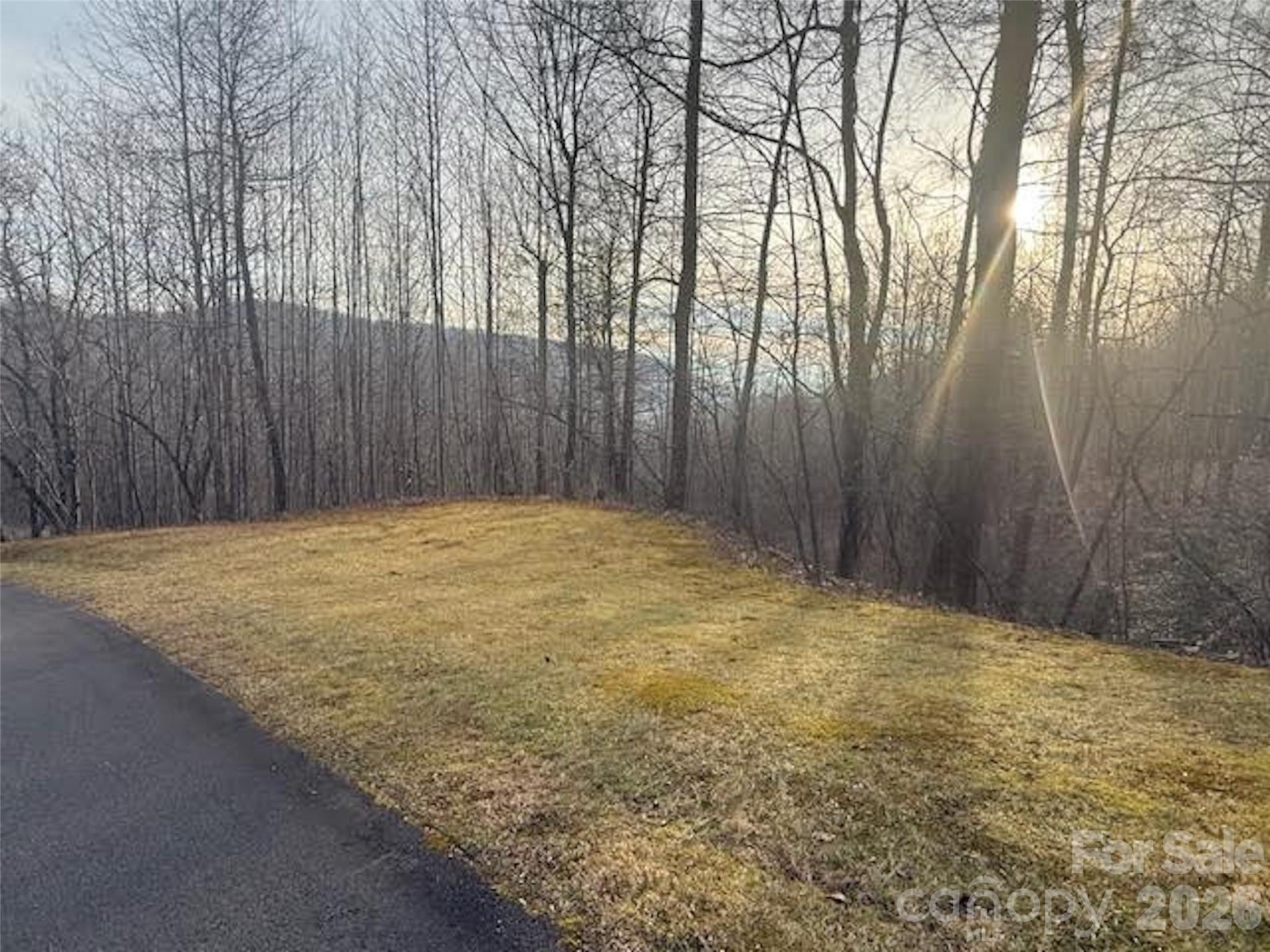 TBD Soapstone Creek Drive #14 - Photo 7