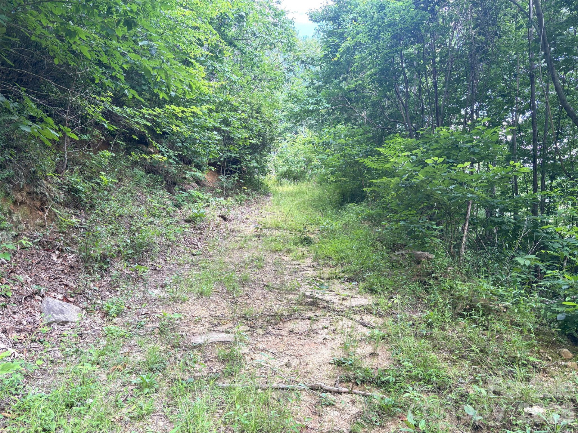 000 Valley View Drive #14 - Photo 4