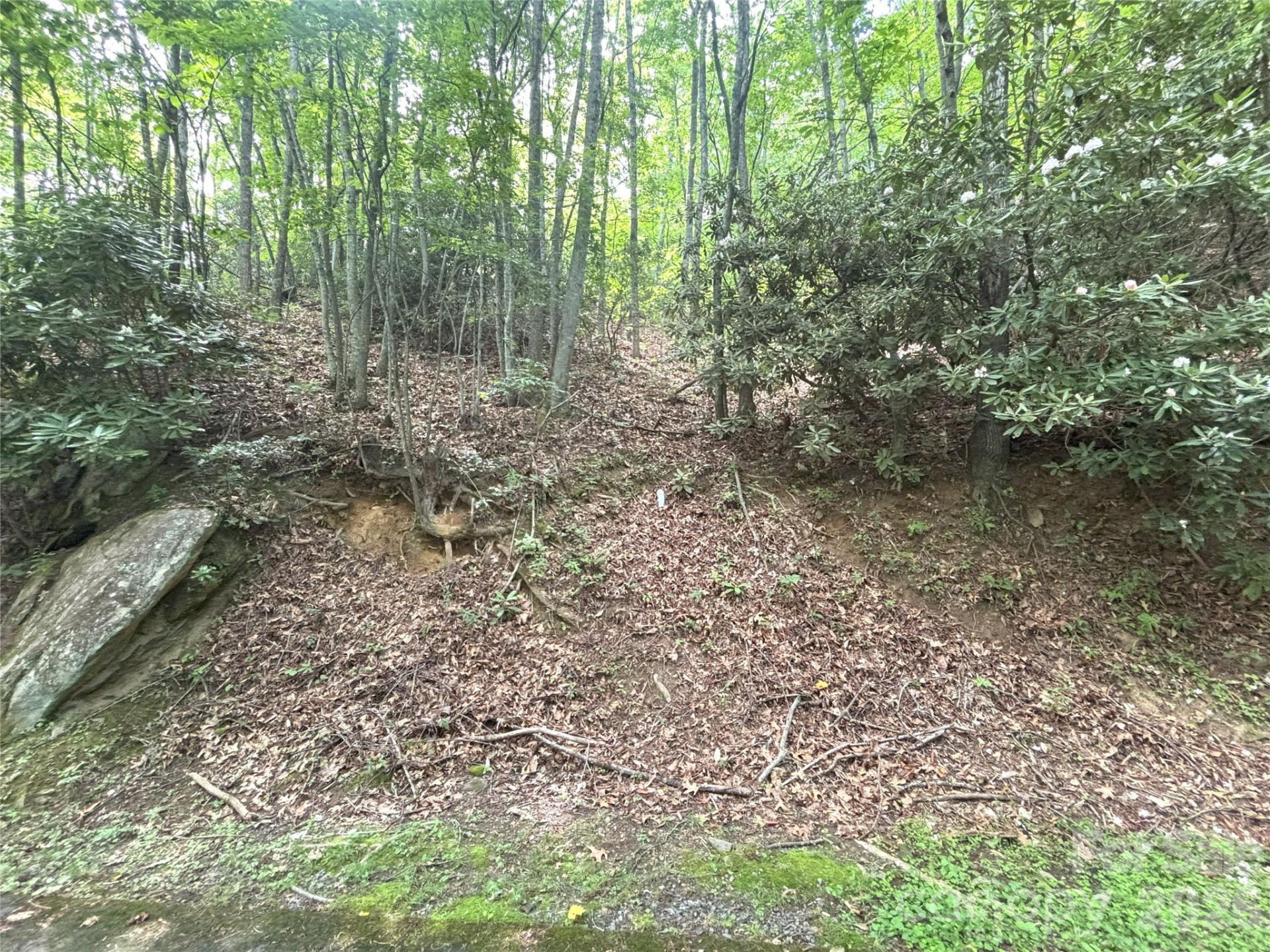 000 Valley View Drive #14 - Photo 5