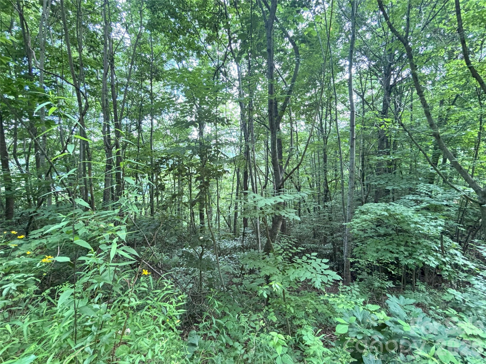 000 Valley View Drive #14 - Photo 6