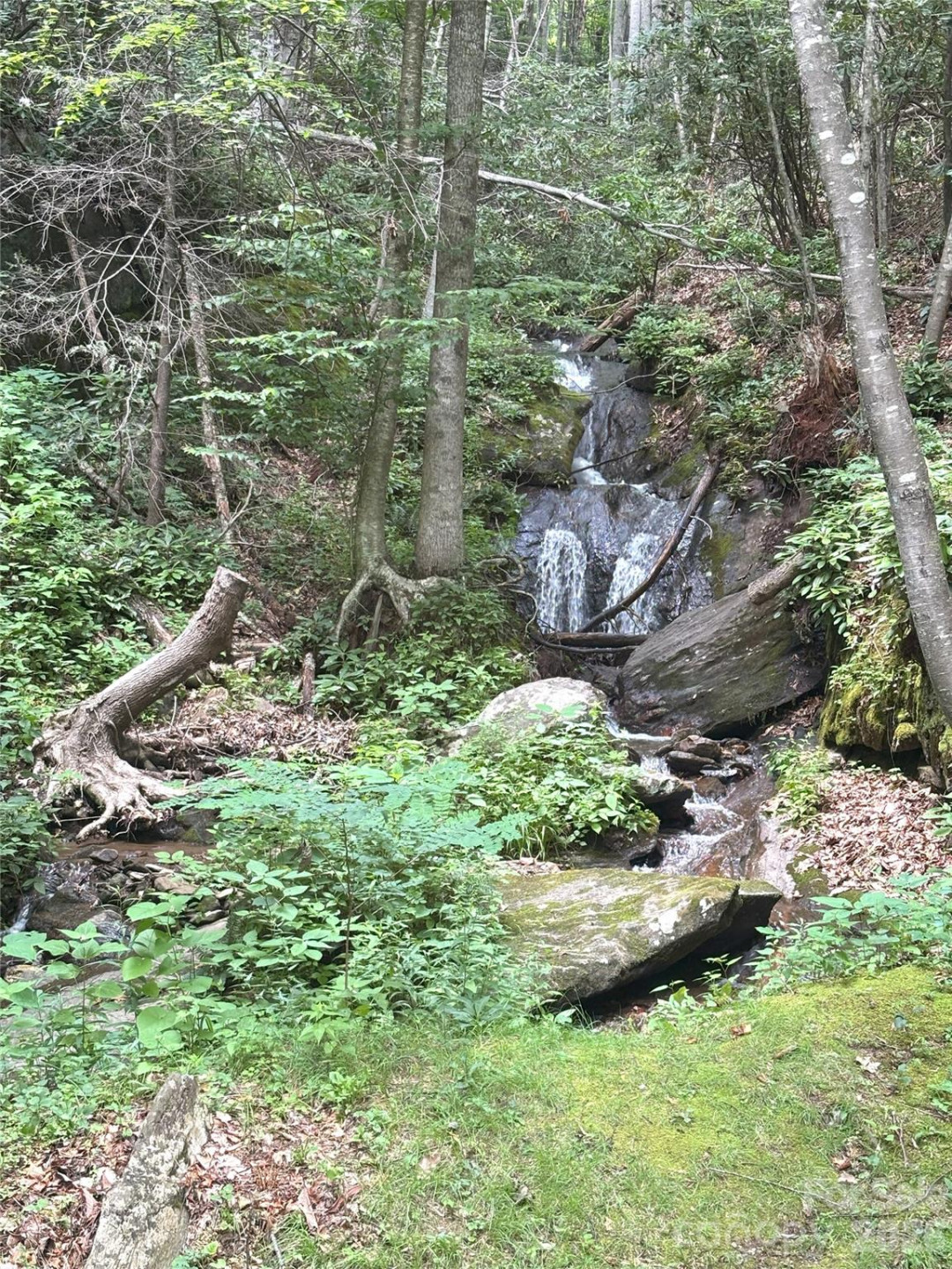 000 Valley View Drive #14 - Photo 7