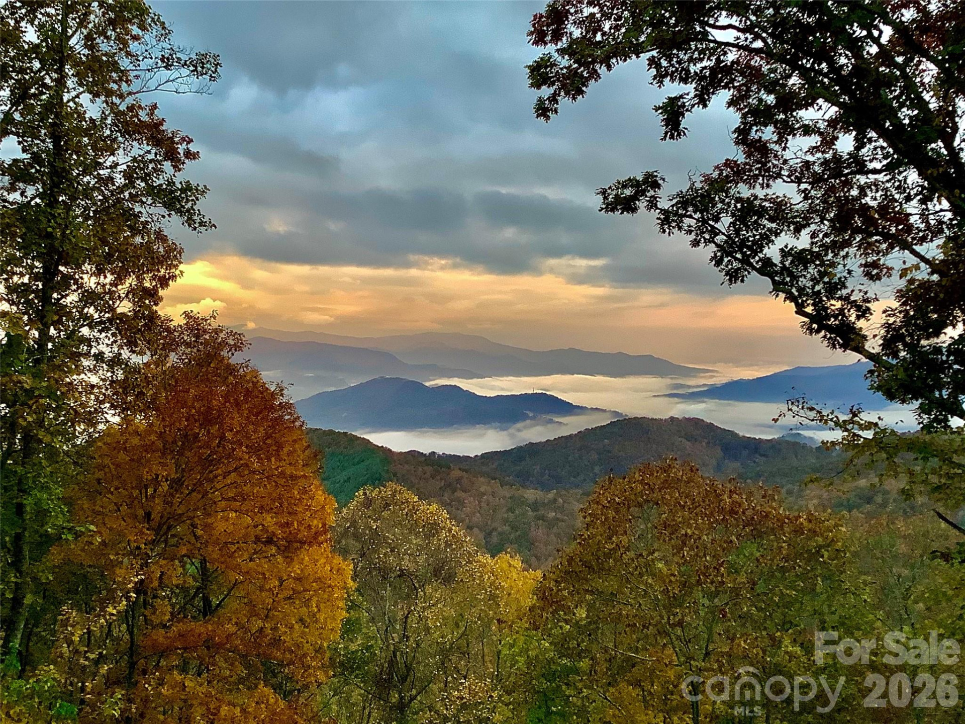 2223 Scarlet Ridge - Photo 47