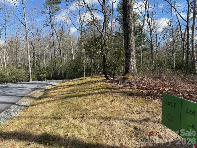 Tract 3 Turtle Ridge Trail, Mills River, NC, 28759