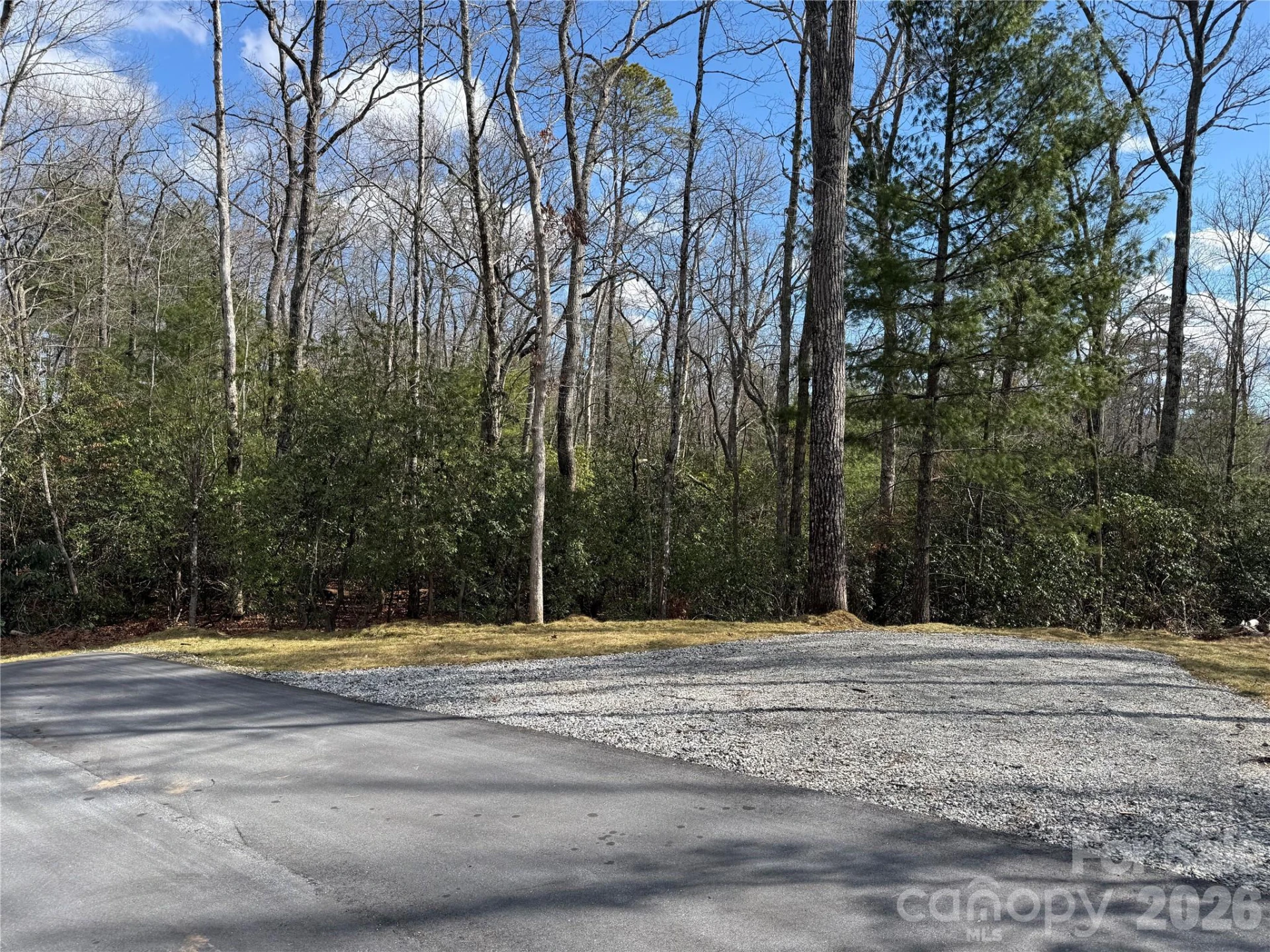 Tract 3 Turtle Ridge Trail - Photo 2