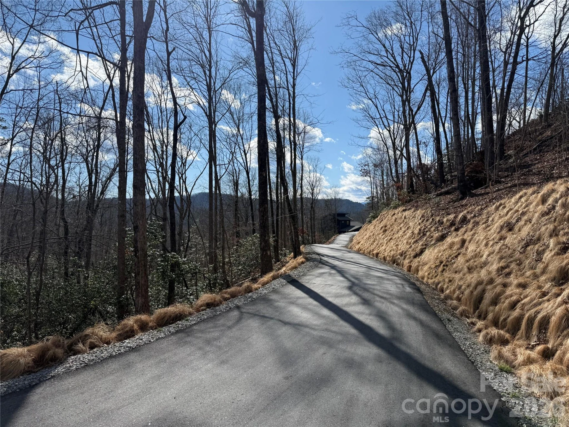 Tract 3 Turtle Ridge Trail - Photo 7