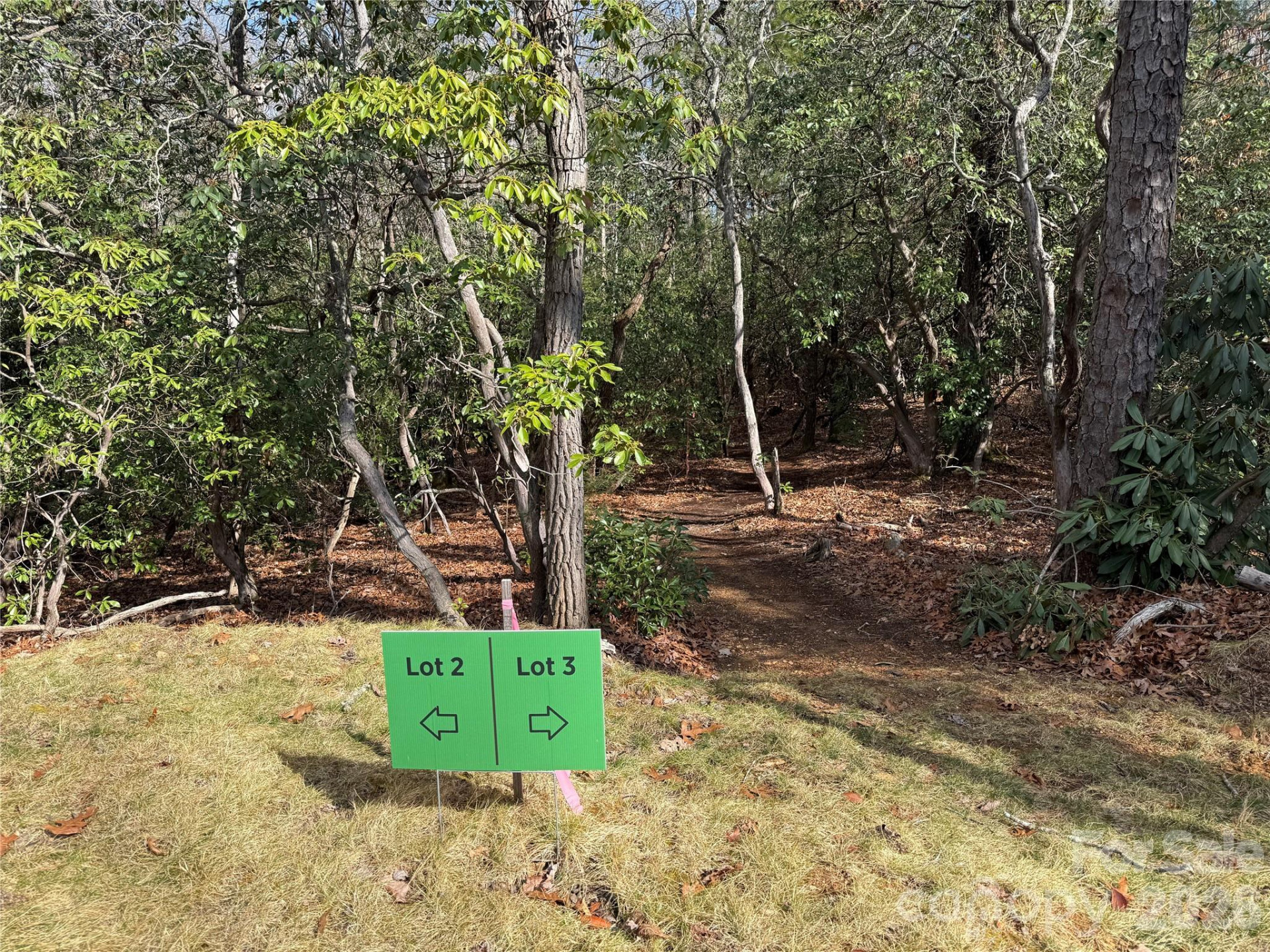 Tract 3 Turtle Ridge Trail - Photo 9