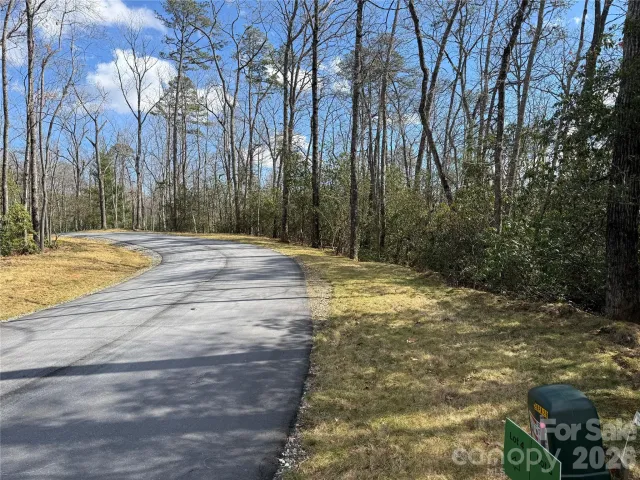 Tract 4 Turtle Ridge Trail, Mills River, NC, 28759