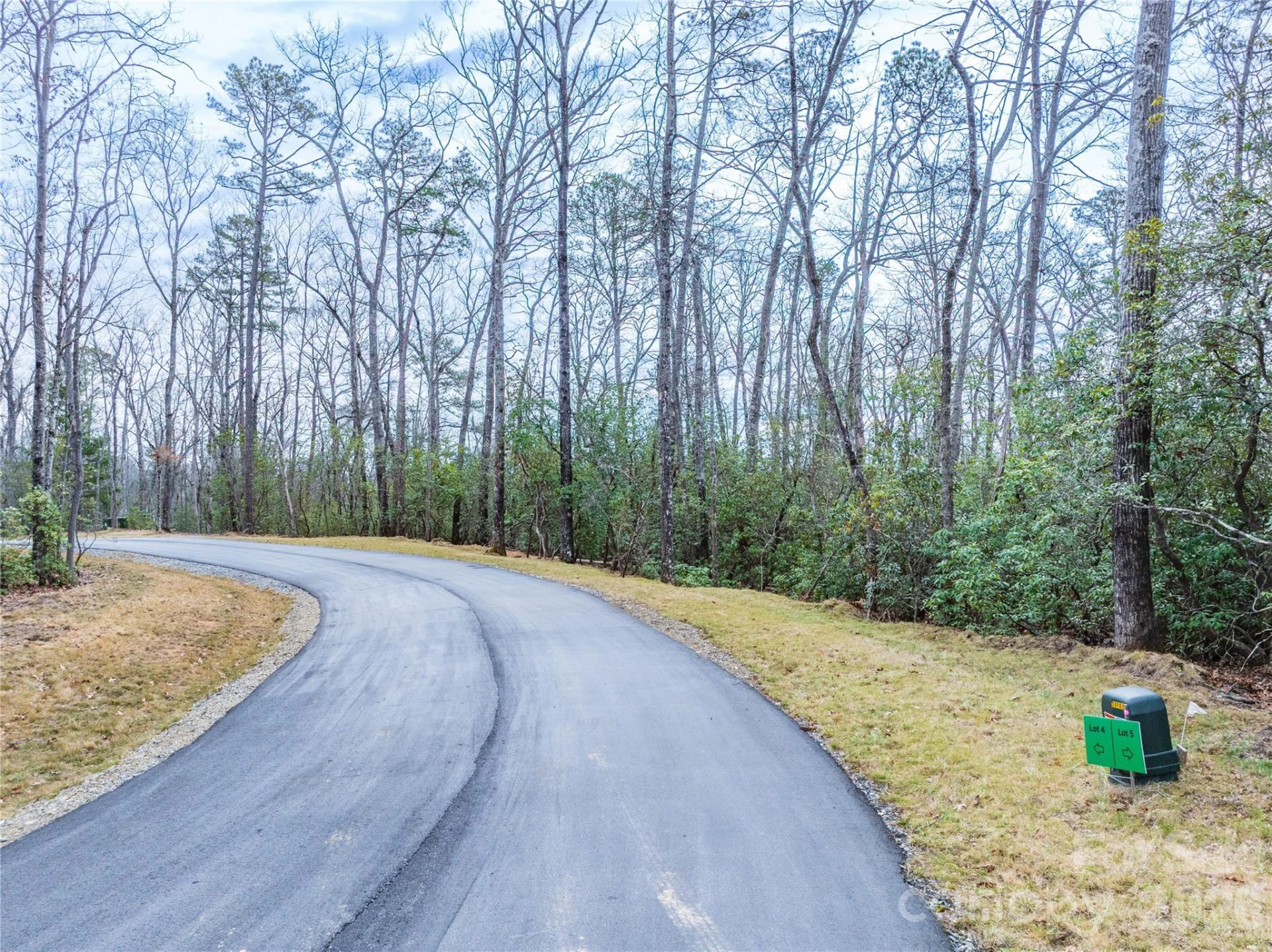 Tract 4 Turtle Ridge Trail - Photo 2