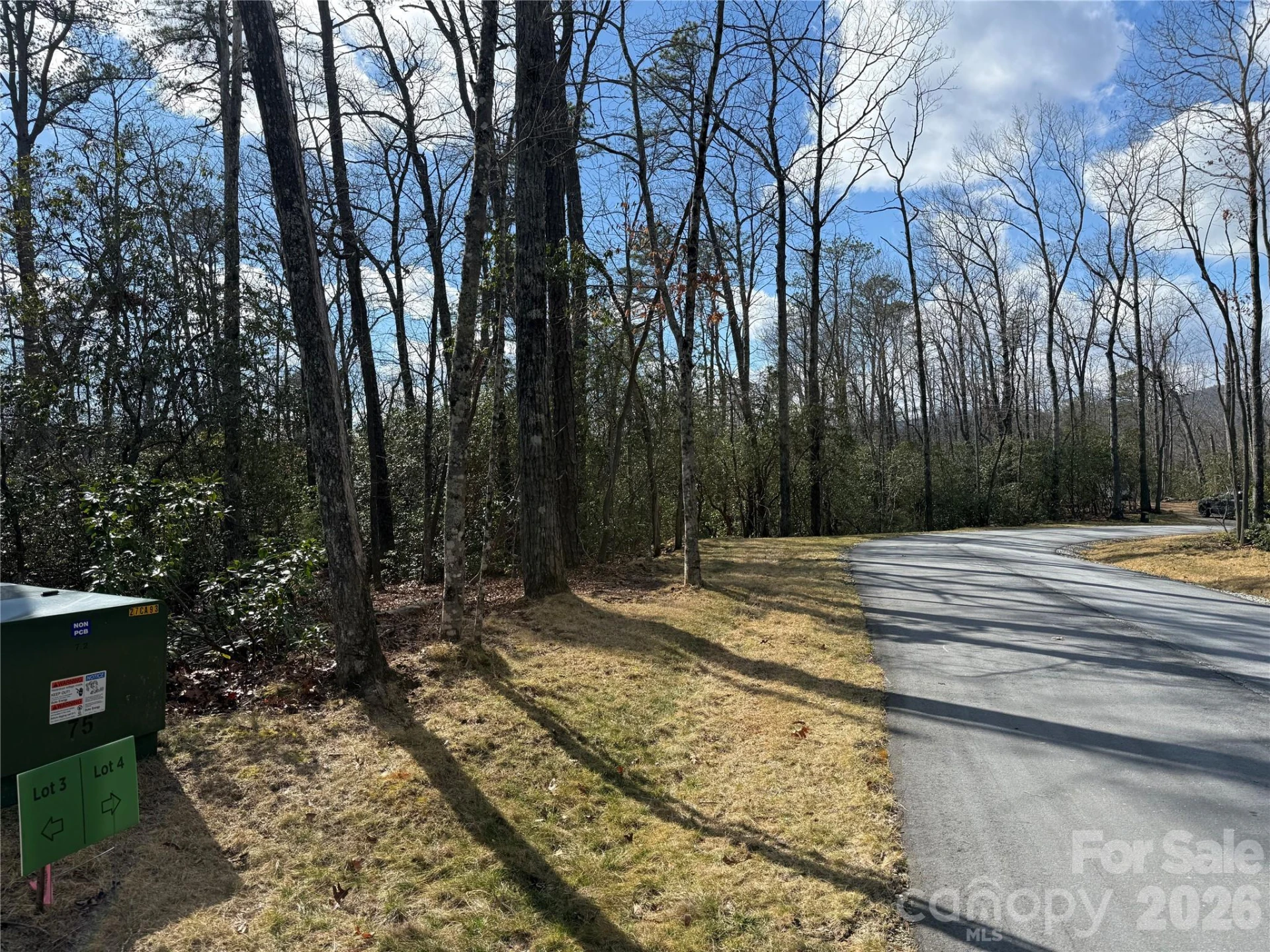 Tract 4 Turtle Ridge Trail - Photo 3