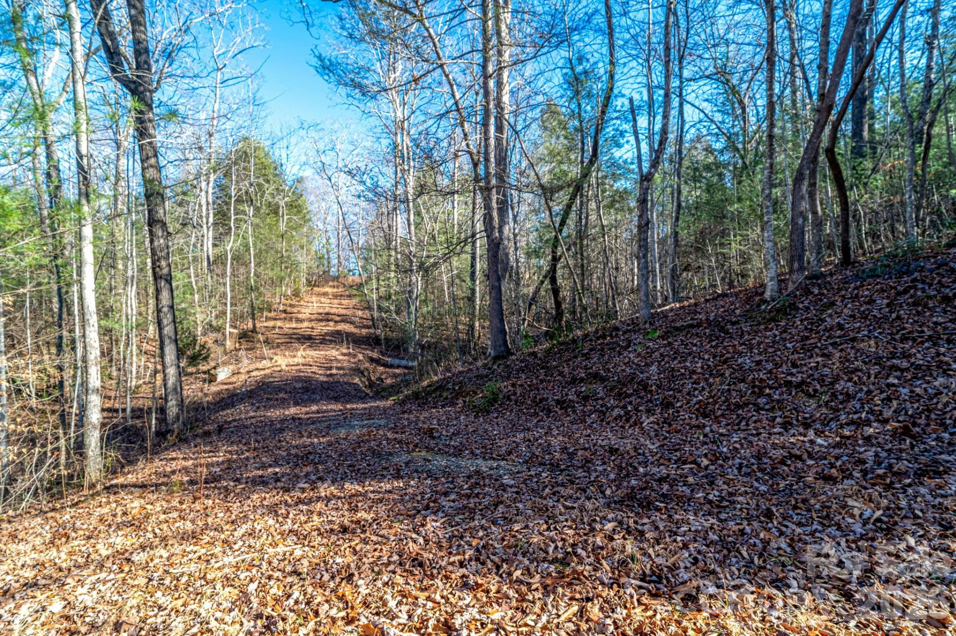 739 Mccanless Creek Drive - Photo 35