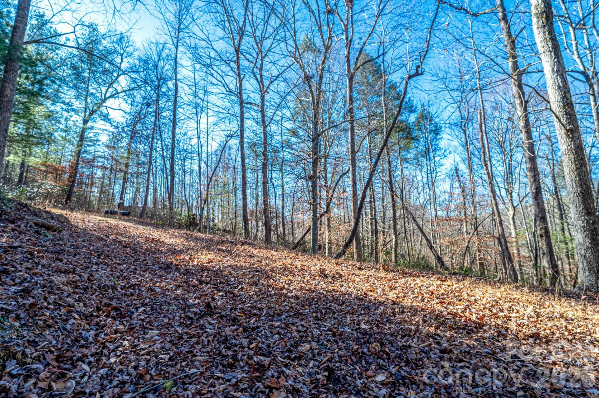 739 Mccanless Creek Drive - Photo 36