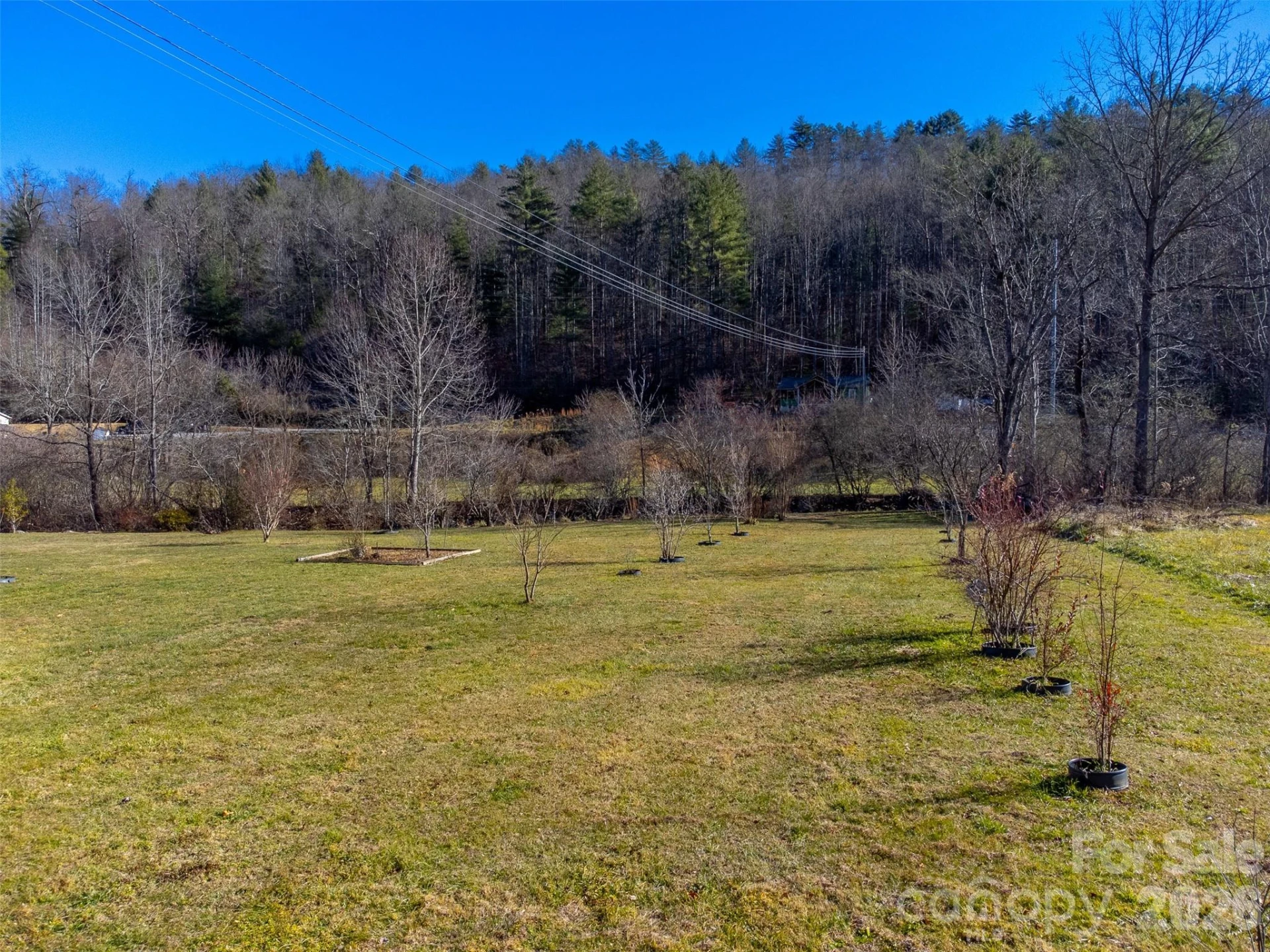 7581 Hwy 441 Highway - Photo 39