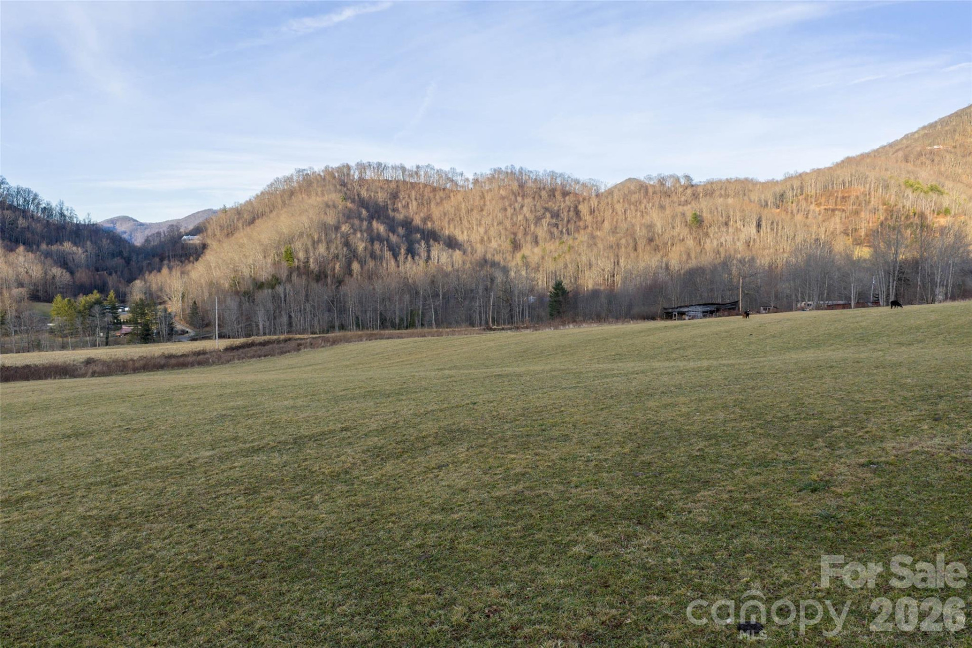 00 Poplar Cove Road - Photo 12