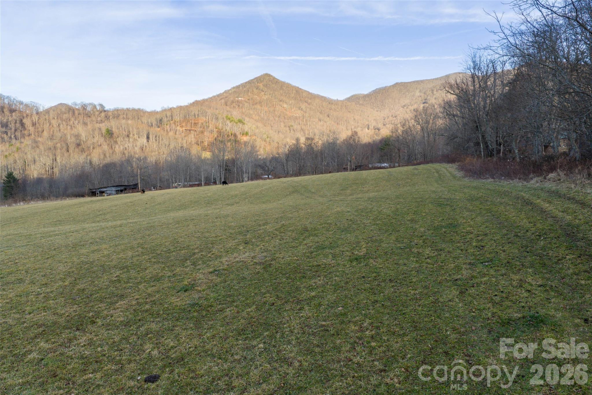 00 Poplar Cove Road - Photo 13